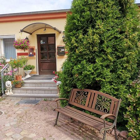 Gaestezimmer Am Gewoelbekeller Meißen Exteriör bild
